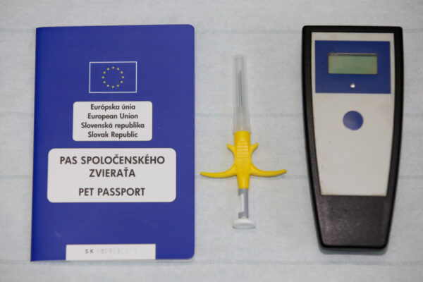 čipy, pasy u psov