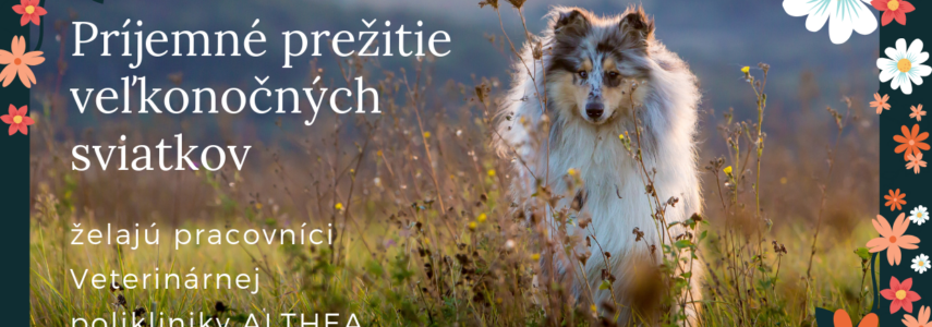 Veľká noc 2019