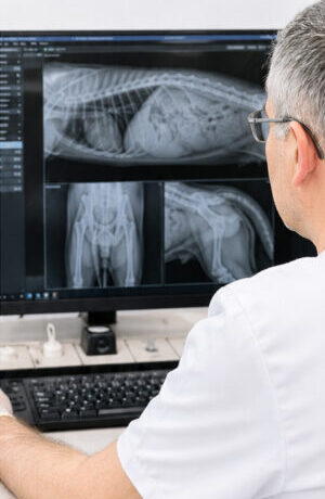 Diagnosticko – zobrazovacie metódy