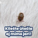 Kliešte útočia nielen na jar