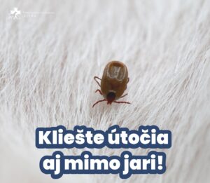 Kliešte útočia nielen na jar