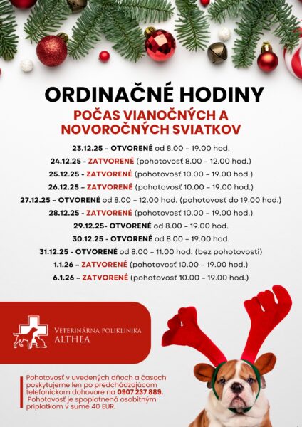 Ordinačné hodiny počas sviatkov